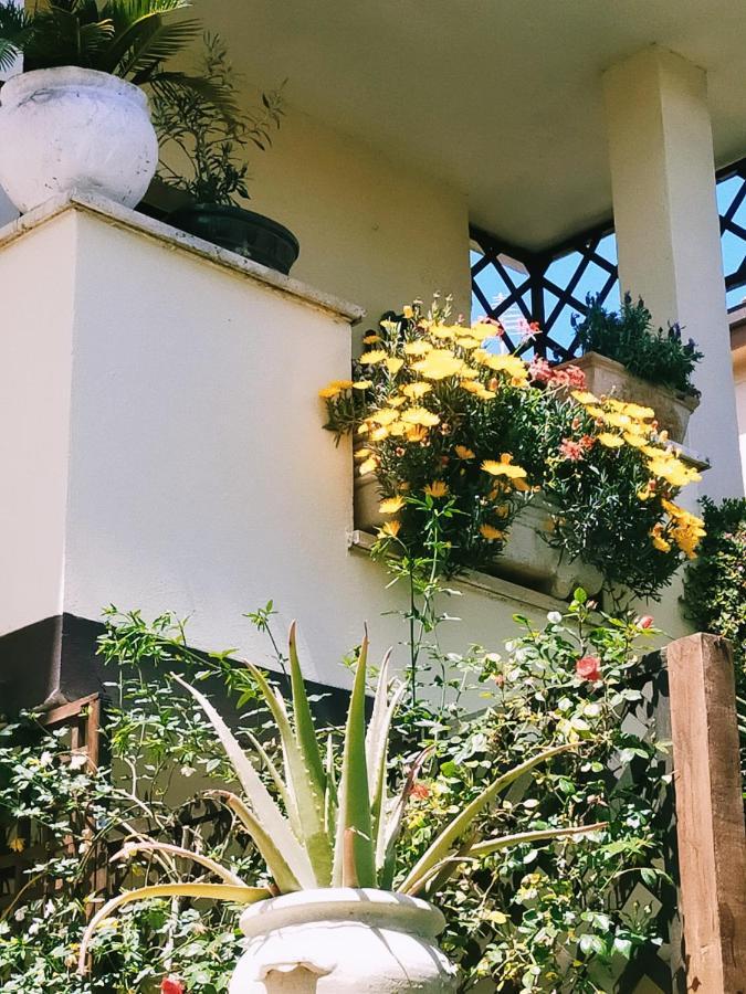 Luxury Apartment Magnolia Terrace Fregenae Exterior foto