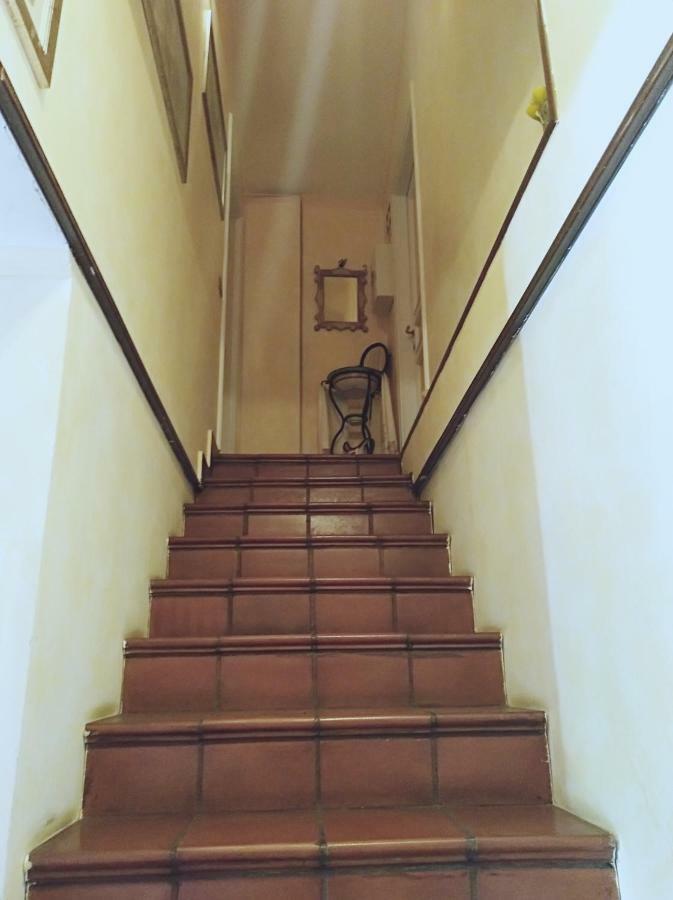 Luxury Apartment Magnolia Terrace Fregenae Exterior foto